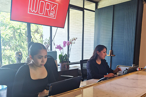 Recepción Work Inc